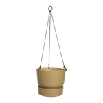 greenville hanging basket 24cm golden sand